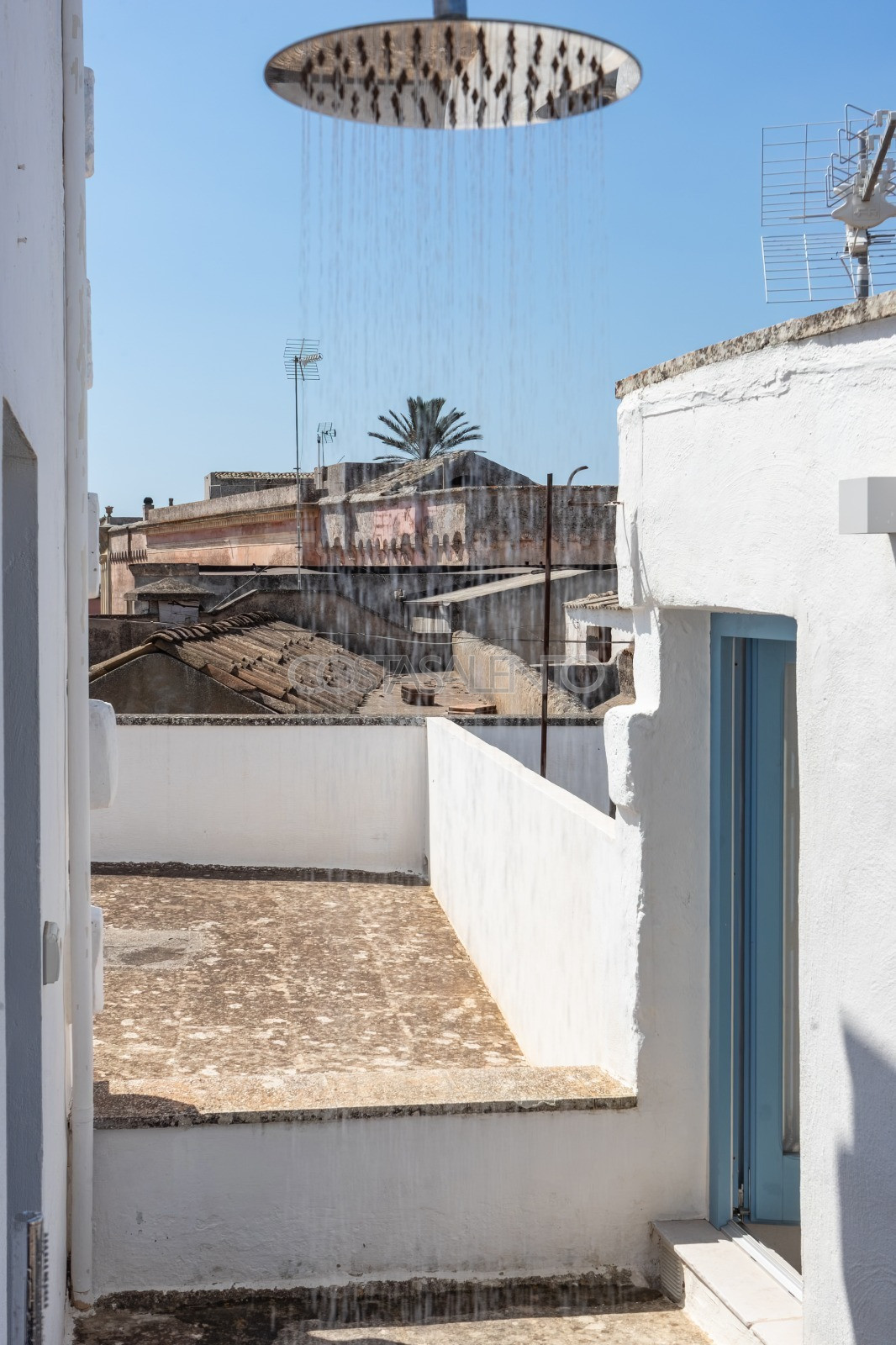 Domus Alba