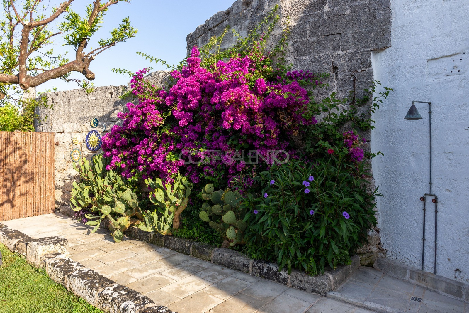 Urban Masseria