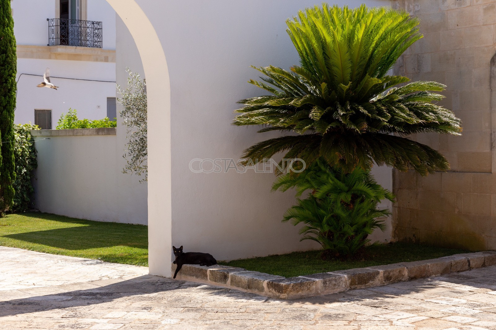 Urban Masseria