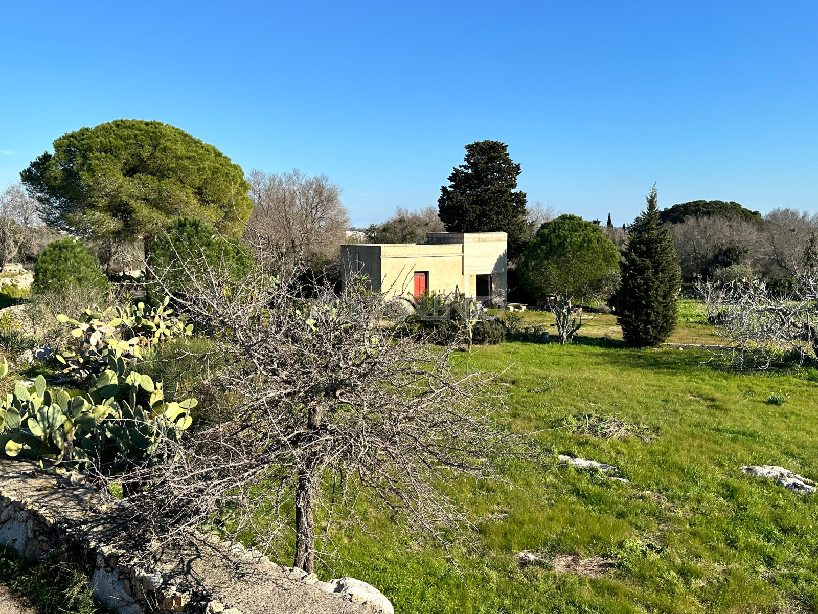 Antica Masseria