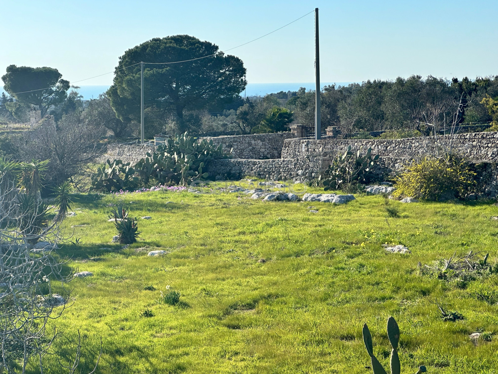Antica Masseria