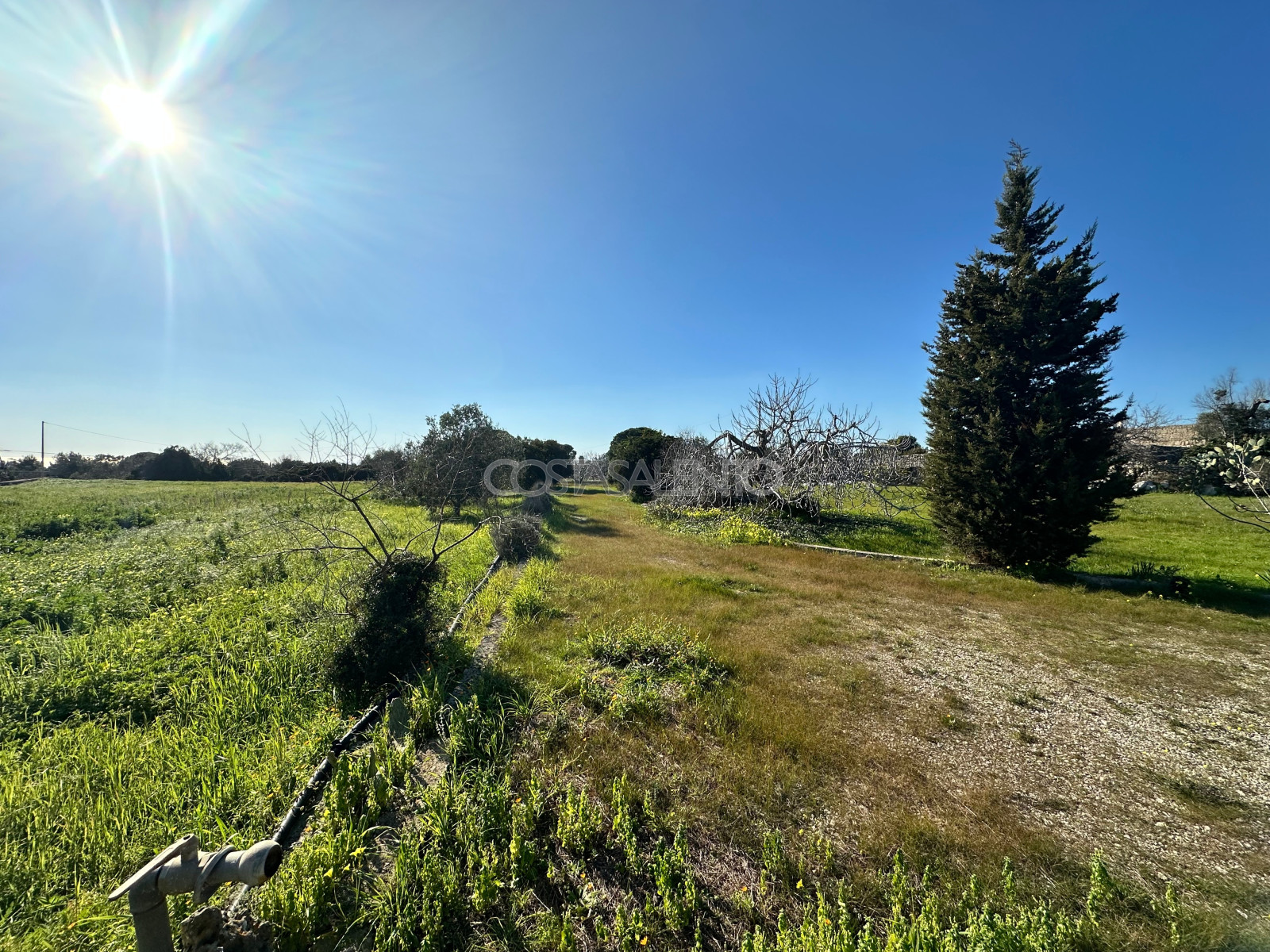 Antica Masseria